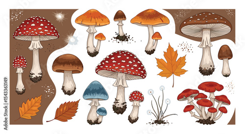 An Assortment of Mushrooms and Autumn Leaves An Edible Wonderland Displayed Artistically