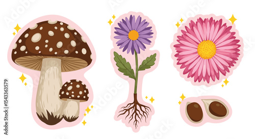 Nature's Beauty A Collection of Mushroom Flower Seeds and Roots for Natural Enthusiasts
