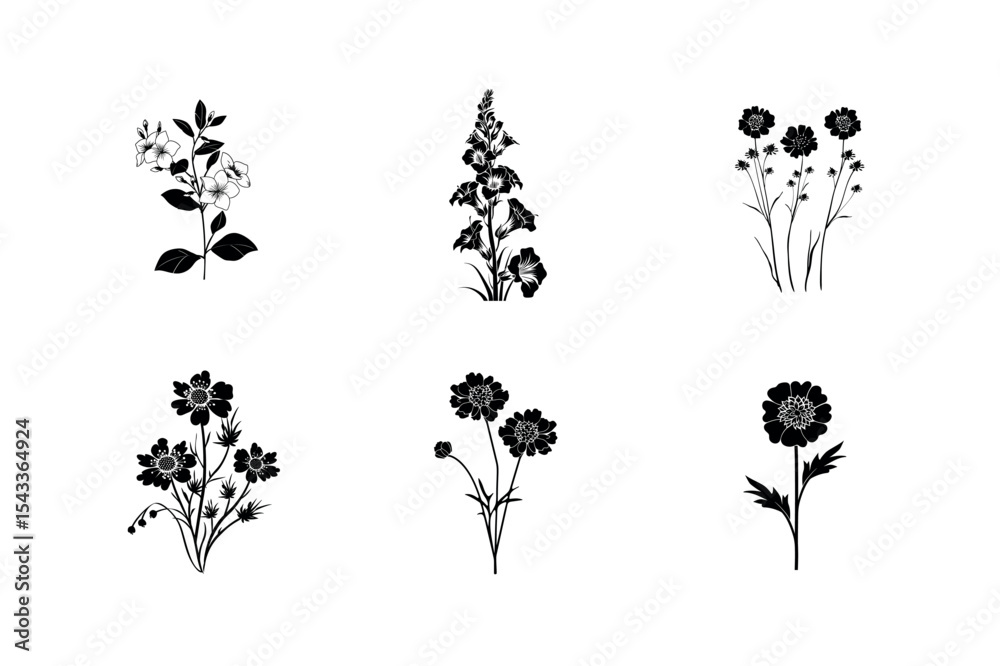 Naklejka premium Six black and white floral silhouettes botanical illustrations