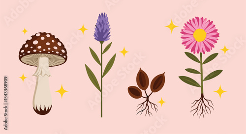 The Wonderful World of Botany A Glimpse into the Life of Flowers and Plants