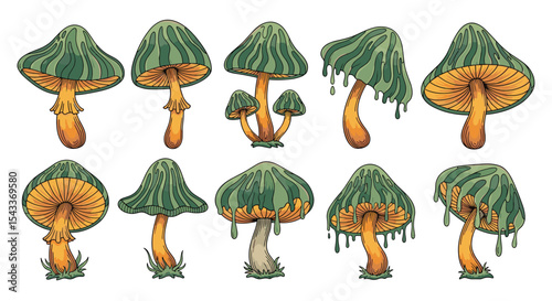 Assortment of Green Capped Fungi with Orange Gills Spores and Organic Textures Abound