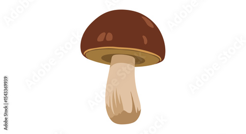 Delicious Edible Mushrooms A Comprehensive Guide to Identifying Safe and Tasty Varieties