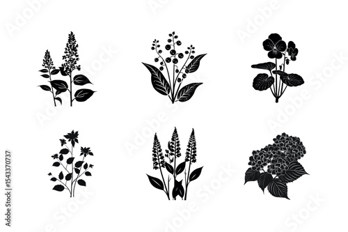 Six black silhouettes of various flowers and plants