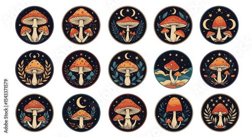 Magical Mushrooms Illustrations Collection with Forest and Midnight Elements for Decorating Projects