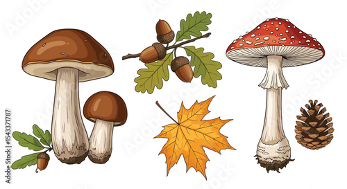 Exploring the Fascinating World of Fungi Woodland Wonders Acorns Leaves and Forest Treasures
