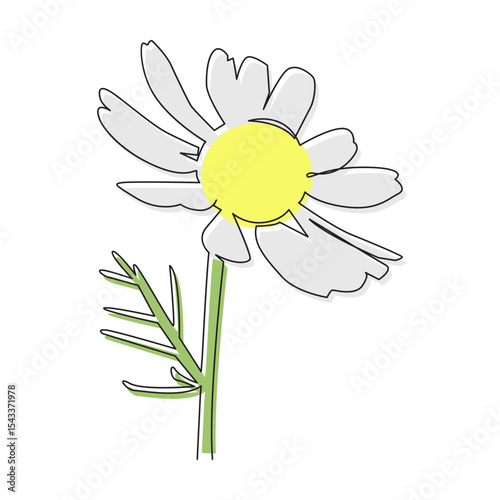 One line drawing of chamomile flower with white petals and yellow center. Botanical vector illustration for natural cosmetics, herbal design, wellness, and organic product branding.