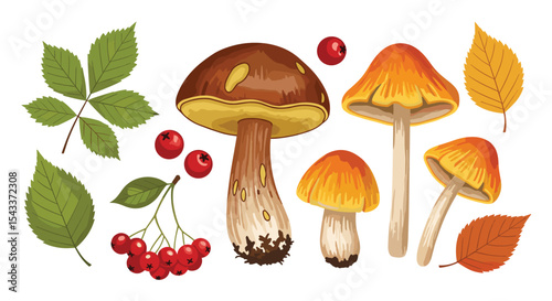 A Colorful Collection of Autumnal Mushrooms Berries and Leaves in the Forest