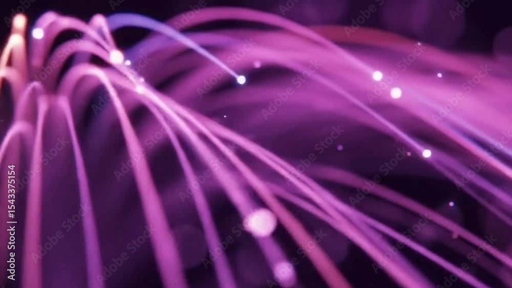 Purple light streaks background animation abstract motion graphics video footage free download
