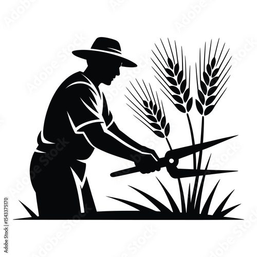 Farmer harvesting wheat silhouette isolated on white background