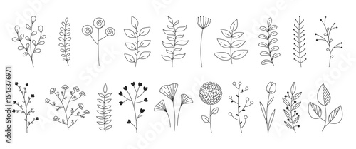 Hand drawn floral set. Simple botanical elements in linear doodle style. Minimal flowers and leaves for design and decoration. Vector 10 EPS.