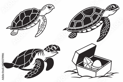 turtle
