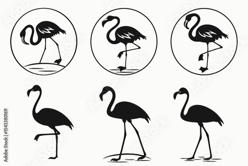 set of flamingos