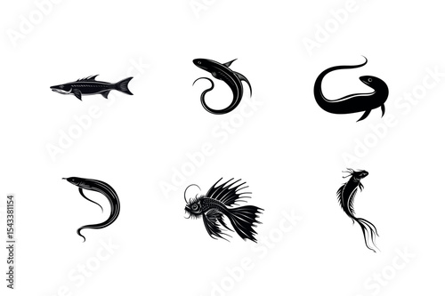 Six black silhouettes of various fish species