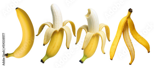 Banana Evolution: From Whole to Gone