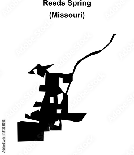 Reeds Spring (Missouri) blank outline map