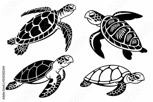 turtle vector illustration