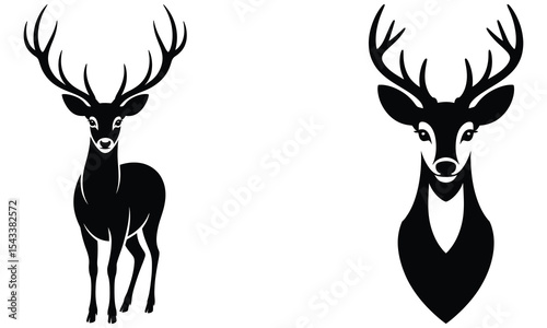 silhouette of a deer