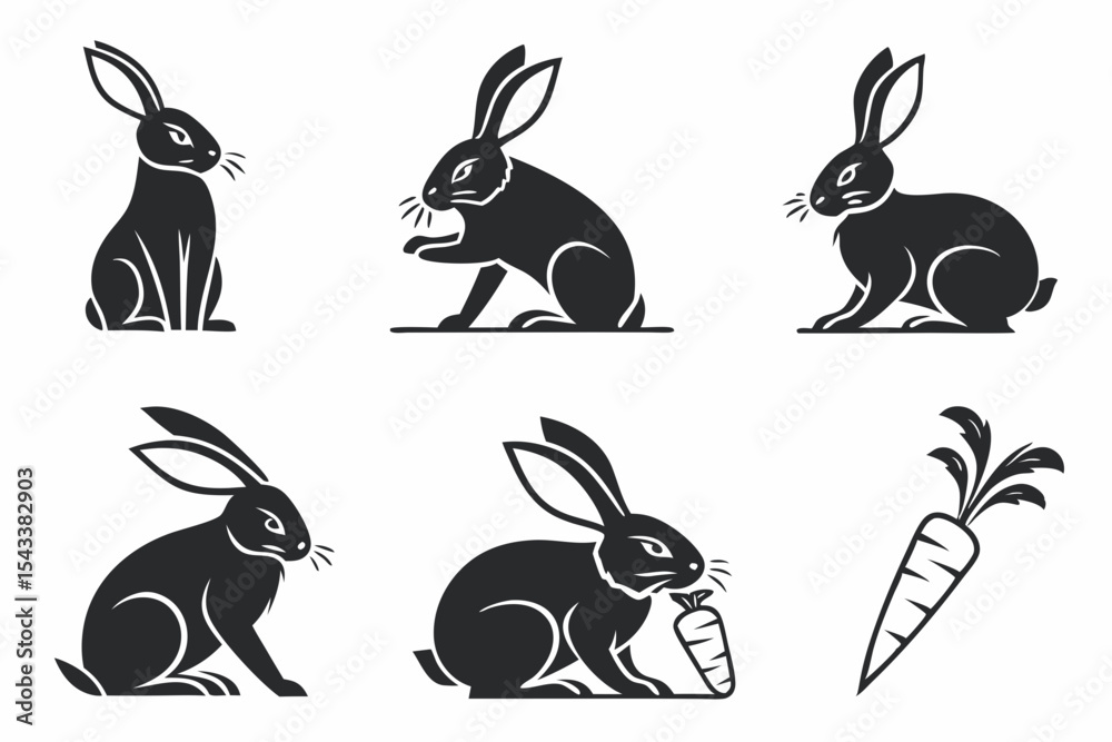 Fototapeta premium set of rabbits