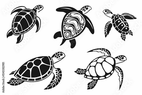 turtle