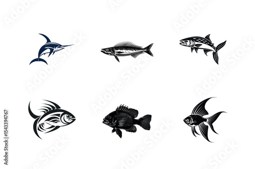 Six different types of fish vector illustrations