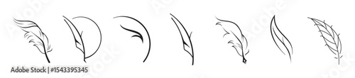 Quill feather line art, feather icon outline vector, Detailed feather line art Vector set illustrations
vector illustration.