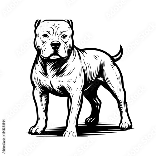 dog head vocter
