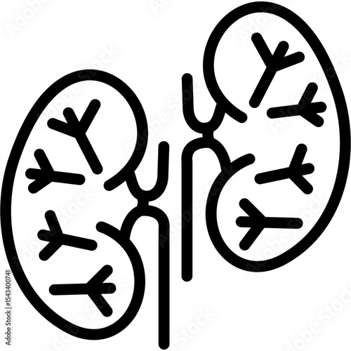 Kidneys Icon