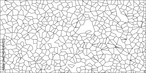 Abstract geometric cellular pattern in black lines on white background illustrating organic structures and design elements