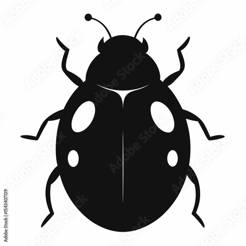 ladybug on white background