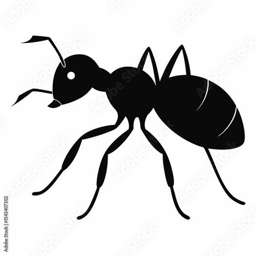 ant vector illustration