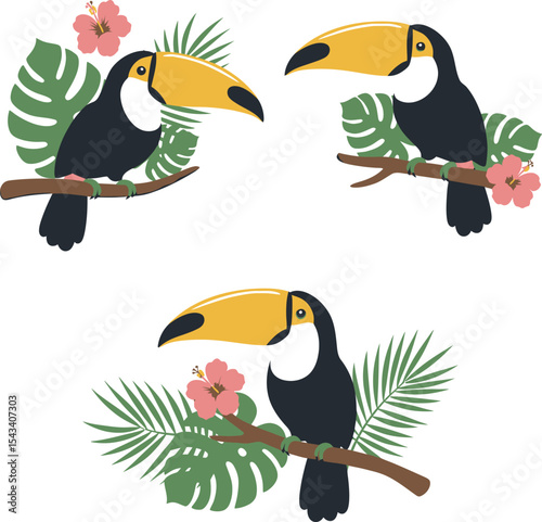 Colorful Toucan Bird Clip Art  vector and Illustration white color background