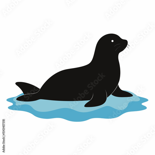 sea lion vector illustration