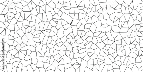 Abstract geometric vector background featuring cellular network pattern with irregular polygon shapes for graphic design