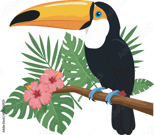 Colorful Toucan Bird Clip Art  vector and Illustration white color background