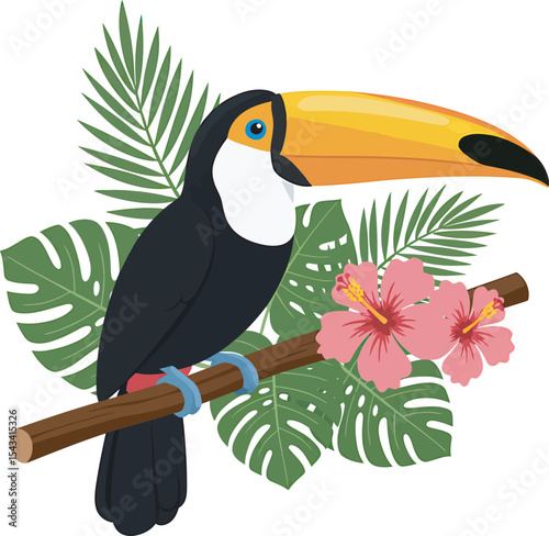 Colorful Toucan Bird Clip Art  vector and Illustration white color background