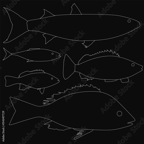 A set of fishes illustrated in black and white, their delicate outlines glowing white against a deep black background. The minimalist design creates a striking contrast, emphasizing the fluid shapes.
