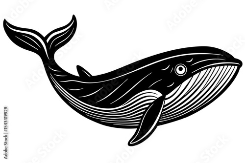sketch of fish