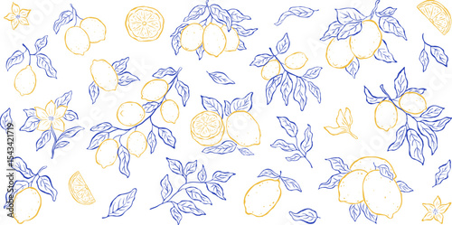 Set of isolated elements of lemons, branches, leaves and flowers on white backdrop. Sketch italian style. Flat vector illustration. Mediterranean life. Perfect for card, poster, print, cover