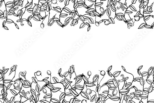 Horizontal monochrome vector frame with cranberry branches with blank space for text. Wild berries etching drawing for food packaging, cosmetic labels, holiday cards and organic product design.