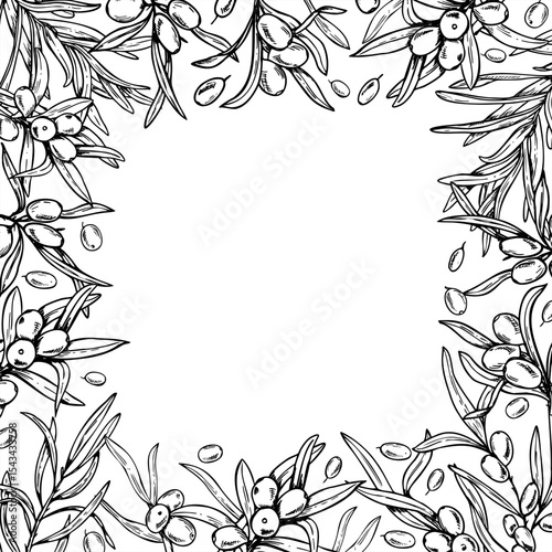 Square monochrome frame with sea buckthorn branches vector illustration, empty space for text. Etching drawing of healthy wild berries for cosmetic packaging, beauty product label, organic skincare