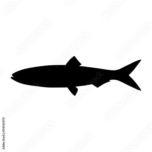 Sleek Silhouette of an Anchovy Fish in Sharp Contrast