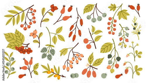 Simple autumn berries and twigs in warm red, orange, green and yellow tones. Different shapes and leaves make this perfect for seasonal designs and cozy fall themes. Flat design vector illustration.
