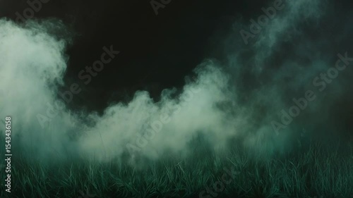 Misty grass landscape with dark background atmosphere