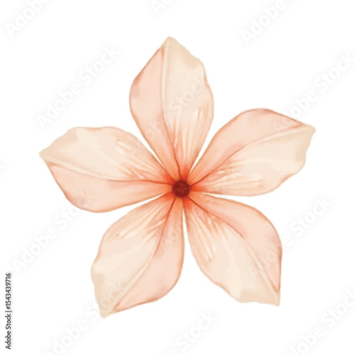 Fototapeta Naklejka Na Ścianę i Meble -  watercolor pink flower isolated on white