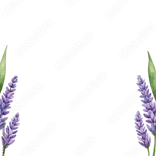 Fototapeta Naklejka Na Ścianę i Meble -  watercolor lavender flowers border