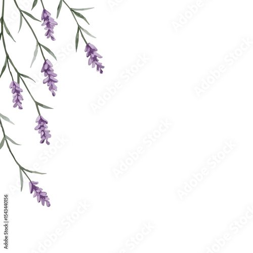Fototapeta Naklejka Na Ścianę i Meble -  watercolor lavender flowers border