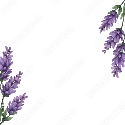 Fototapeta Naklejka Na Ścianę i Meble -  watercolor lavender flowers border