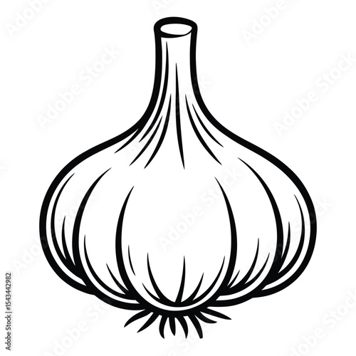 Black and White Line Drawing of a Single Garlic Bulb with Detailed Stem and Root Structure