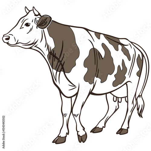 cow cartoon isolated