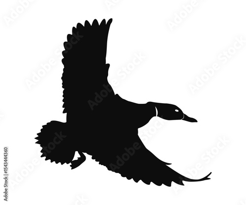 flying duck silhouette, silhouette of flying duck vector art